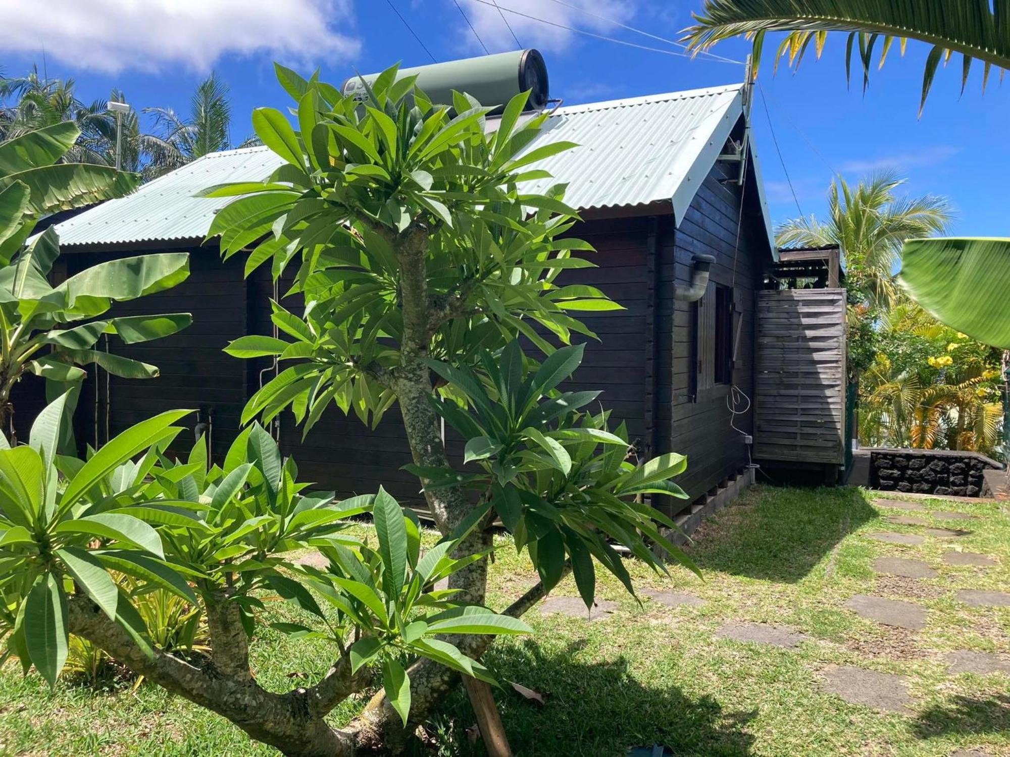 Les Bungalows Les Vanilliers, Sud Sauvage Avec Piscine แซ็ง-โฌเซฟ ภายนอก รูปภาพ