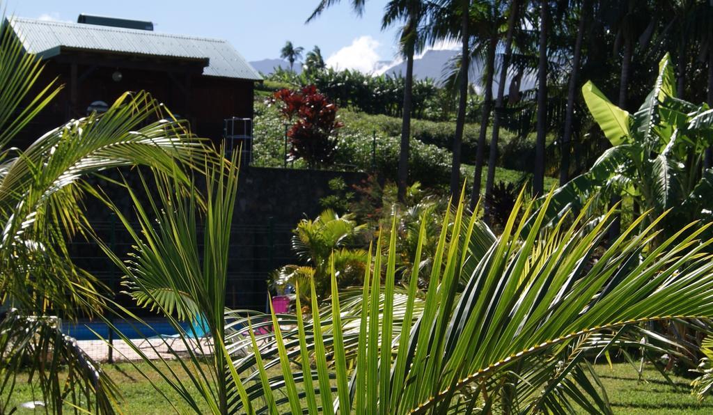 Les Bungalows Les Vanilliers, Sud Sauvage Avec Piscine แซ็ง-โฌเซฟ ภายนอก รูปภาพ