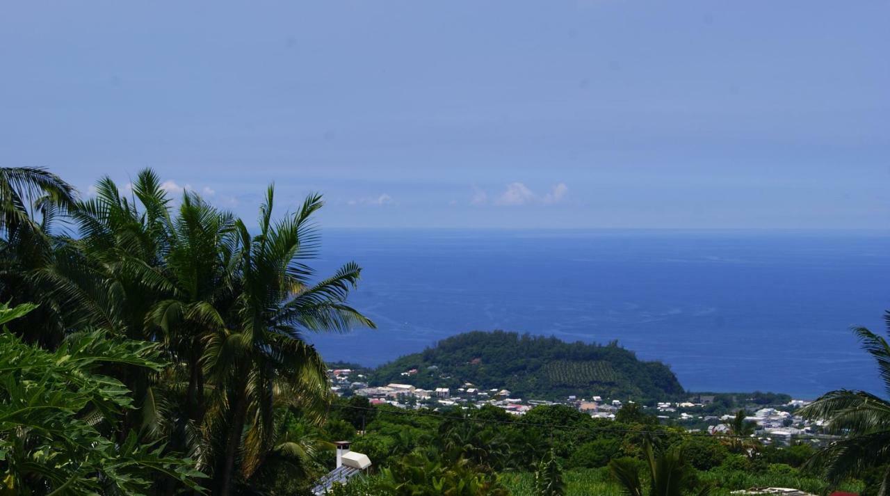 Les Bungalows Les Vanilliers, Sud Sauvage Avec Piscine แซ็ง-โฌเซฟ ภายนอก รูปภาพ