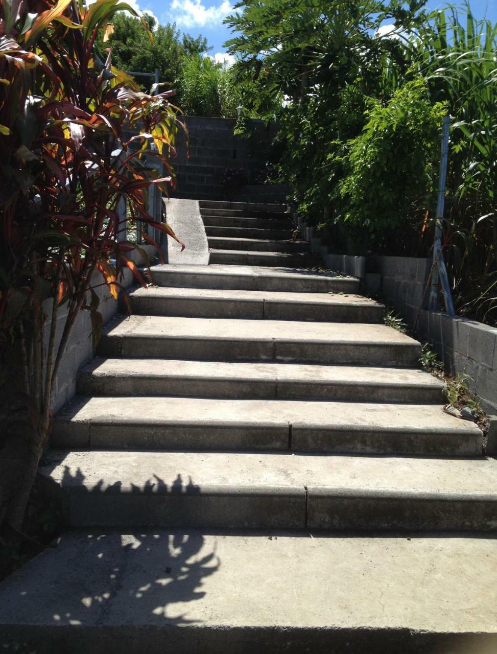 Les Bungalows Les Vanilliers, Sud Sauvage Avec Piscine แซ็ง-โฌเซฟ ภายนอก รูปภาพ